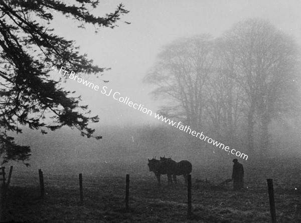 PLOUGHING NEAR DAIRY HILL